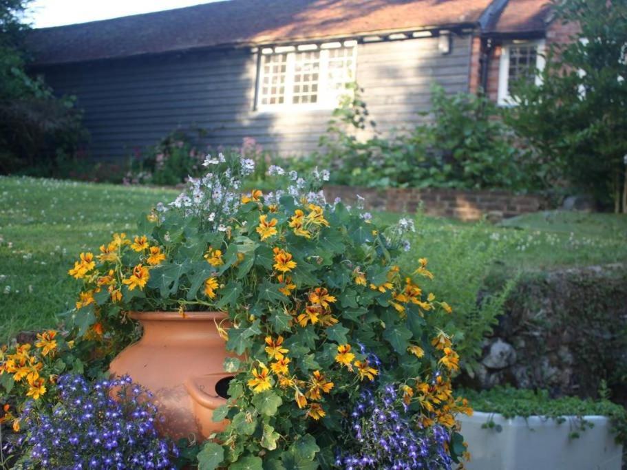 Appartement Oak House Farm à Edenbridge Extérieur photo